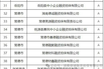 榮譽‖德誠擔保公司再次榮獲湖南金融監管年度評級A級